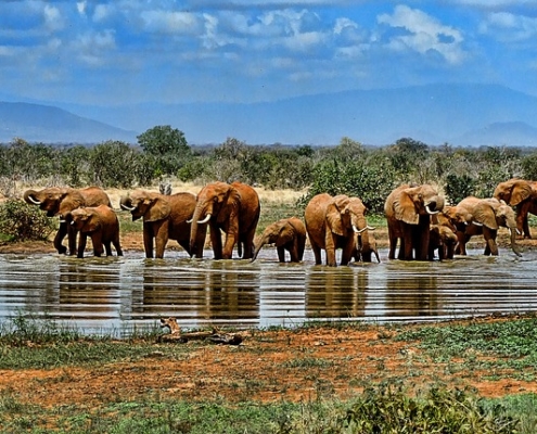 Parc d’iSimangaliso